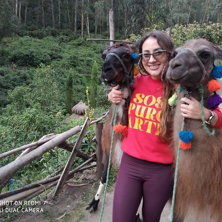 Hostal Killa Llullu Quito Kültér fotó