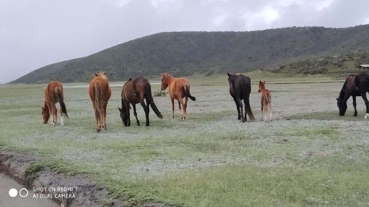 Hostal Killa Llullu Quito Kültér fotó